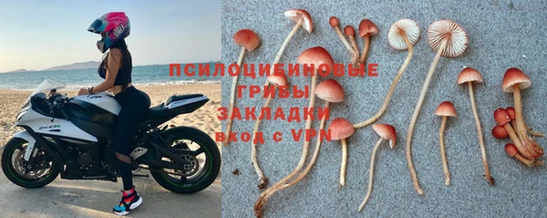 спайс Арсеньев