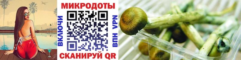 Галлюциногенные грибы ЛСД  hydra   Чернушка 